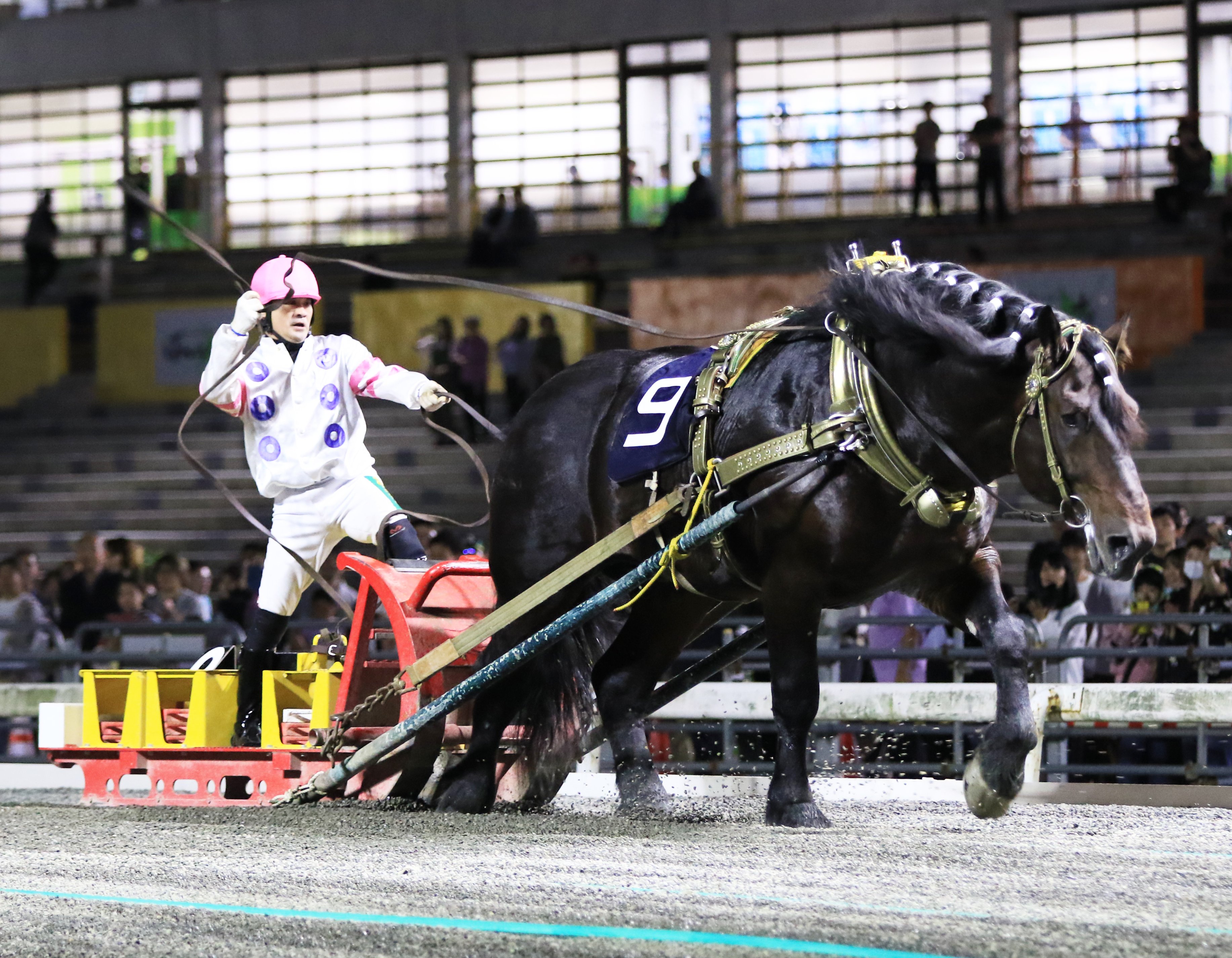 競馬 歴代ばんえい最強馬投票優勝馬 鈴木恵介騎手直筆サイン木箱 証明書入り蹄鉄 競馬 歴代ばんえい最強馬投票優勝馬 鈴木恵介騎手直筆サイン木箱 証明