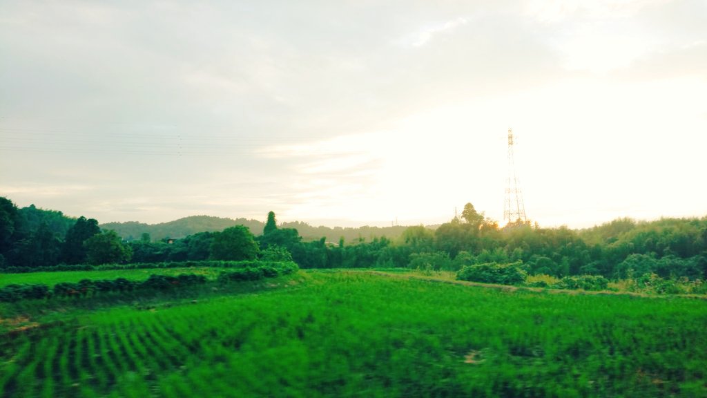 風景 - Search / X
