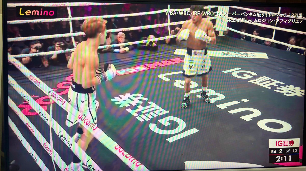 休日ボクシングの試合見ててもFX業者に追いかけられる、、 IG証券といえばノックアウトオプション。 井上尚弥選手のノックアウト勝利にコール🥊！！！！！