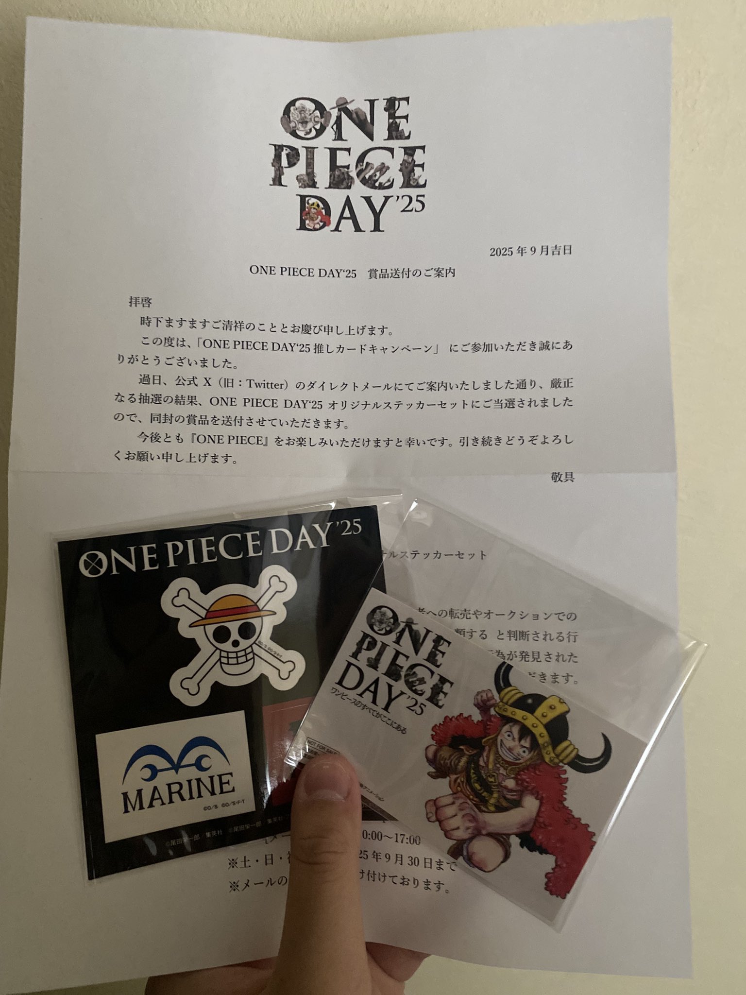 ONEPIECEDAY - Search / X