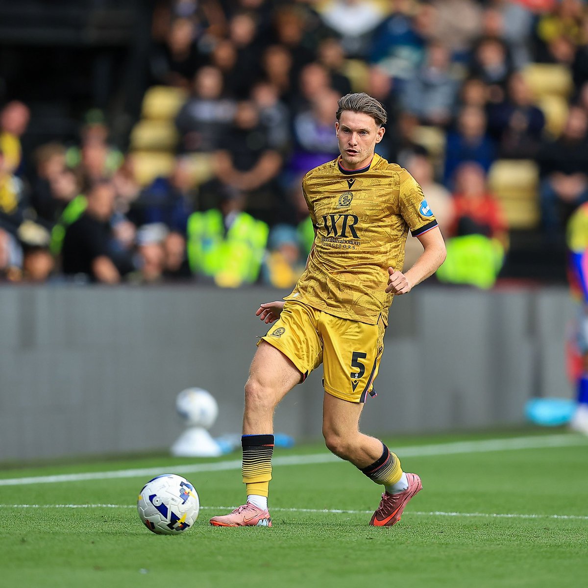 👏 Winning debuts off the bench for new signings <a href="/AndriLucasG/">Andri Lucas Gudjohnsen</a> and Taylor Gardner-Hickman!

#WATvROV | #Rovers 🔵⚪️