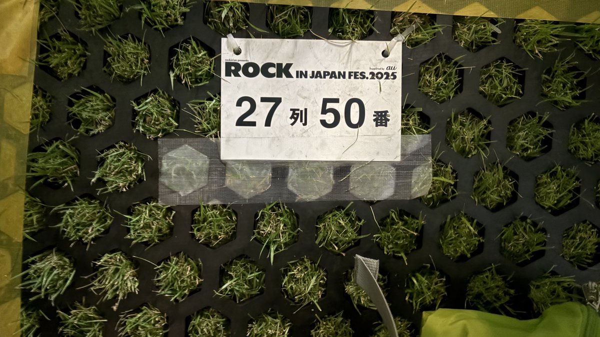 ロッキン　Vaundy 前方指定最高だった！