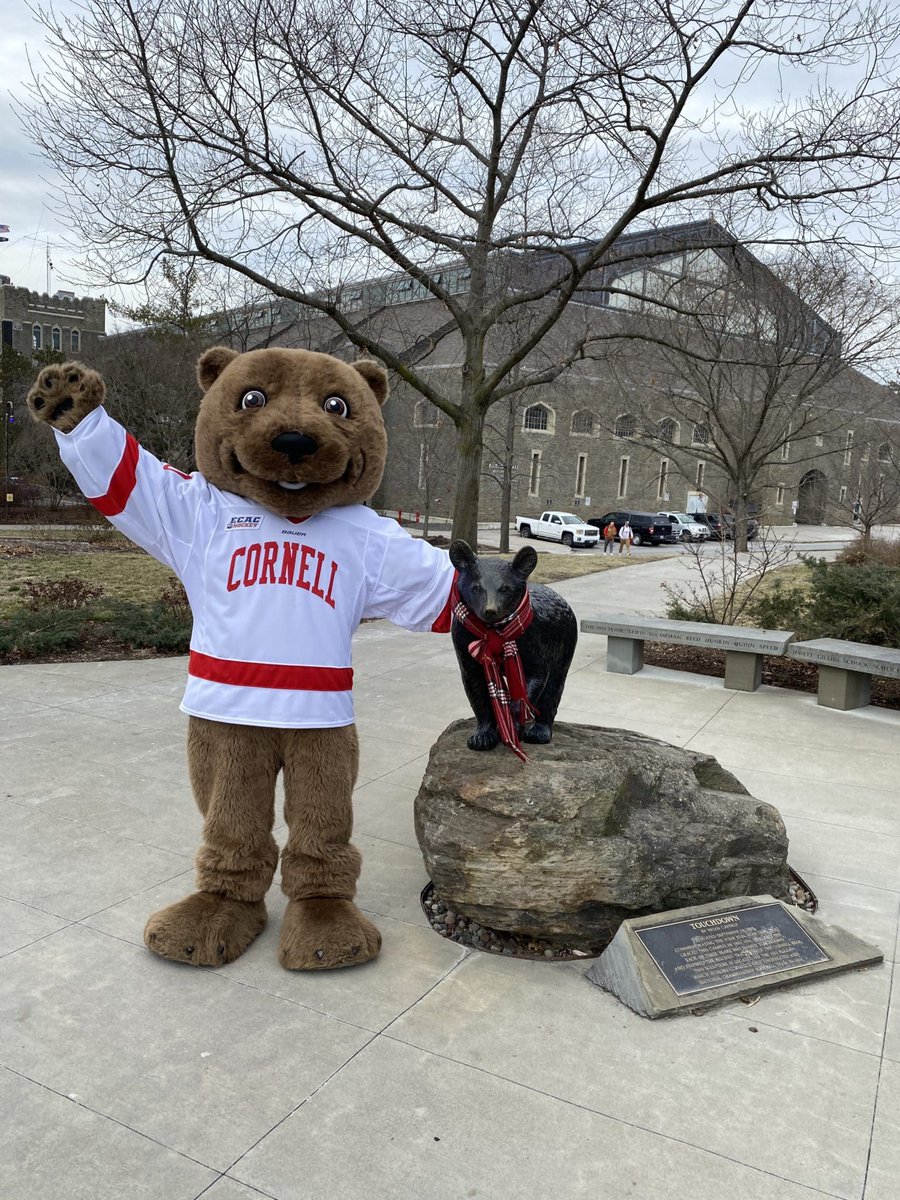 Congratulations to <a href="/spauldingtbear/">Spaulding T. Bear</a> for recognising his fellow bear as the mascot of Cornell University. “Touchdown” was  a real bear who was taken to football matches back when that was acceptable. (These days, fortunately, #Cornell are cheered on by a guy in a bear suit..) 🐻🐯