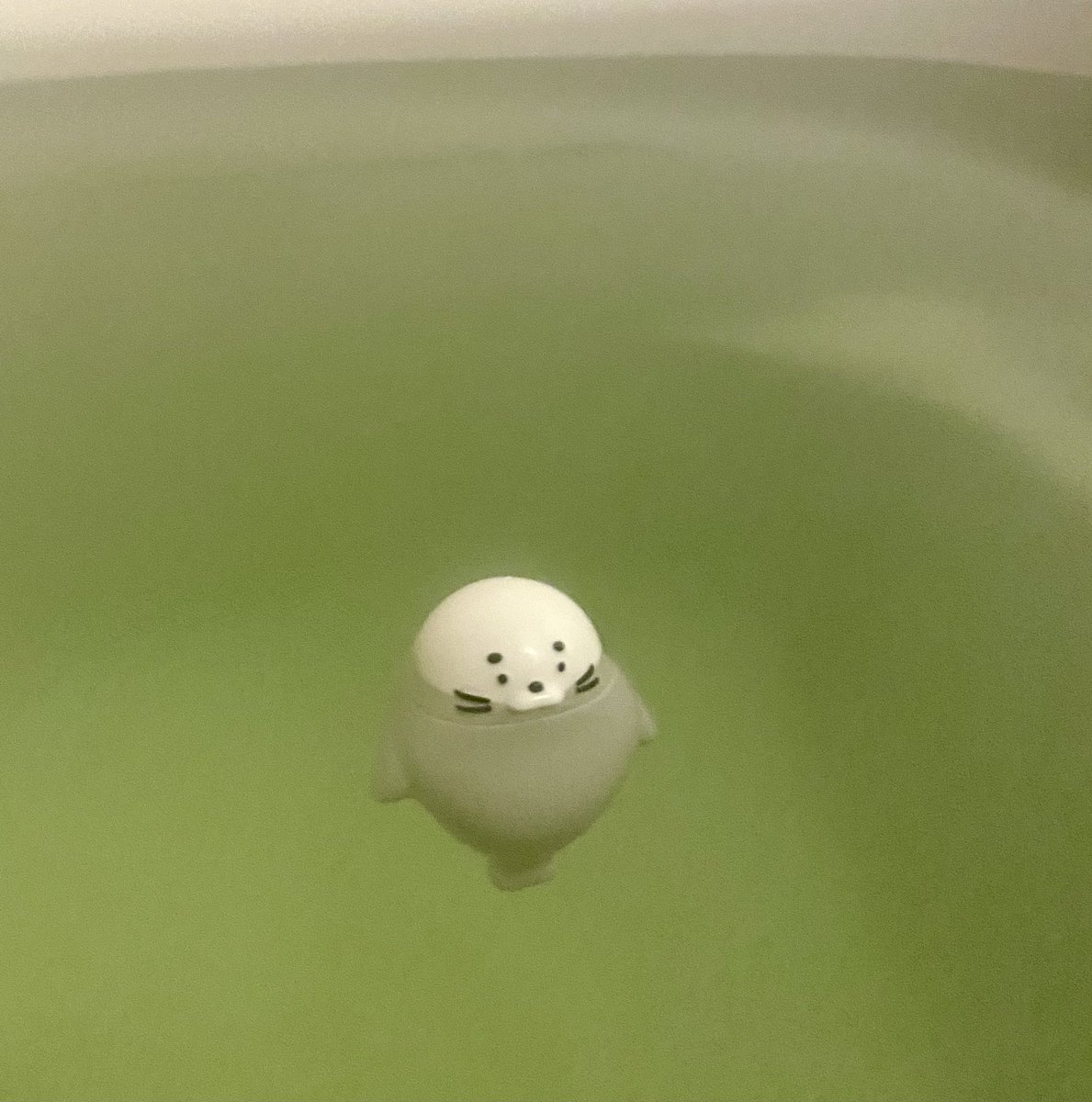 ボヘミアンズとマヤーンズのマジメロ楽しかったなぁ……めちゃくちゃ楽しみにしてたけど始まるとあっという間に終わってしまった😢カッコ良く歌ってニッコリ笑ってーまさかと思う曲も聴けてとても幸せだった✨あぁぁーーーさみしい😭