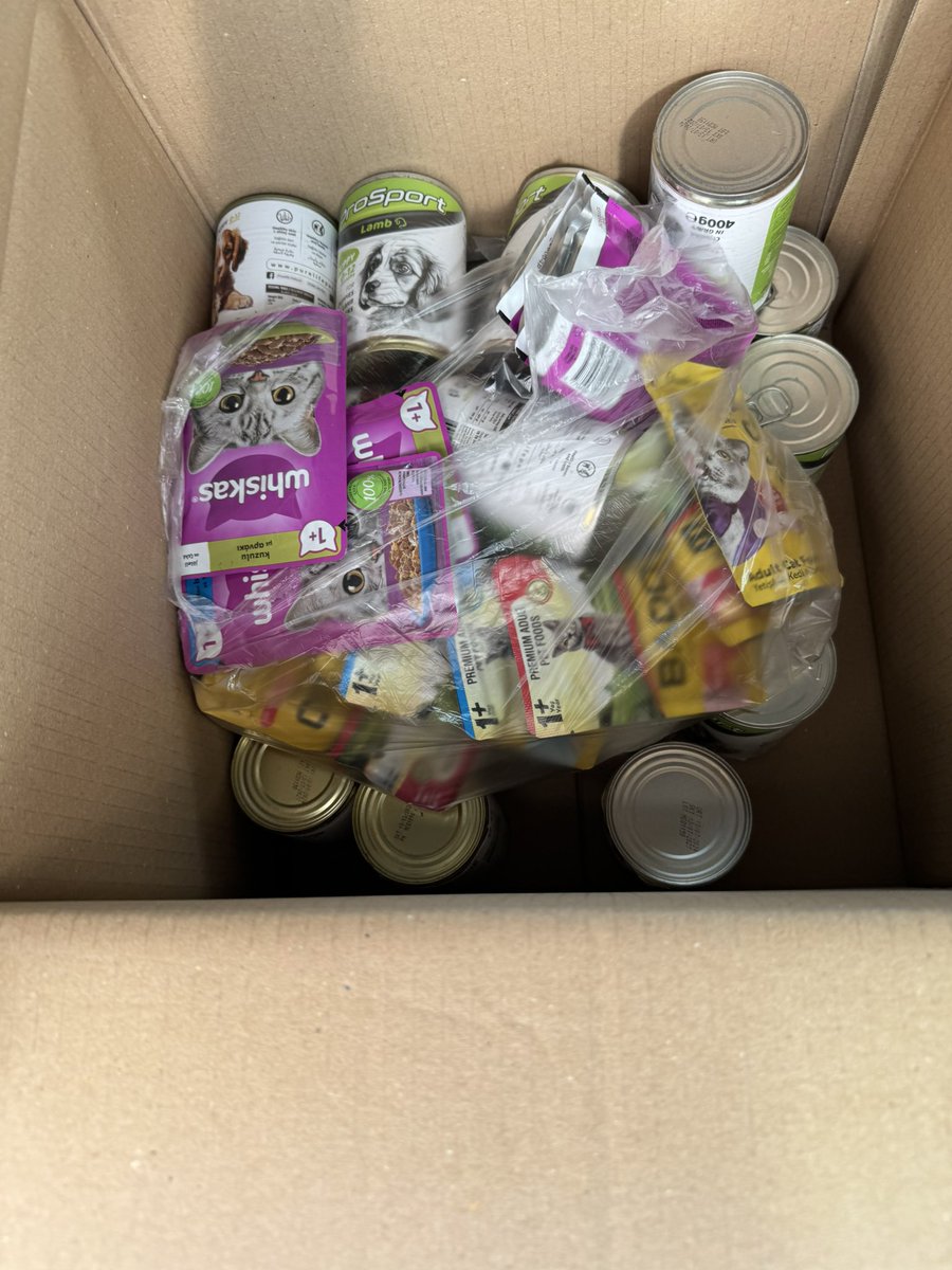 Tomorrow  👀🐈‍⬛🐾