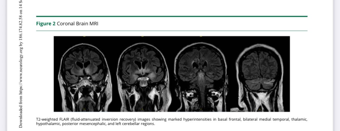 Dr.Fernandezcar tweet media