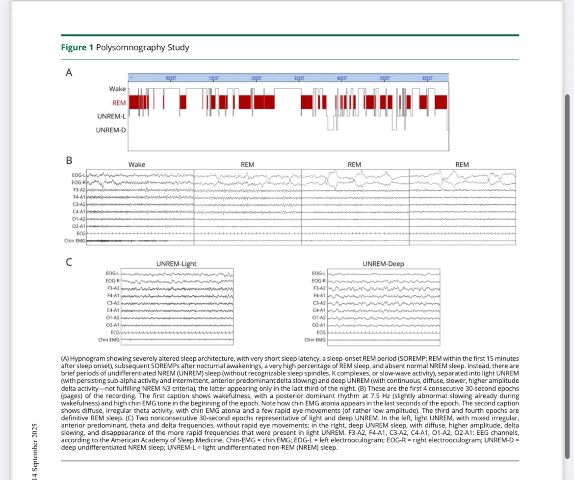 Dr.Fernandezcar tweet media