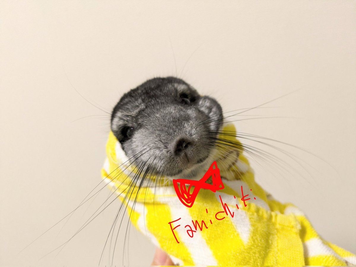 ほぼファミチキ