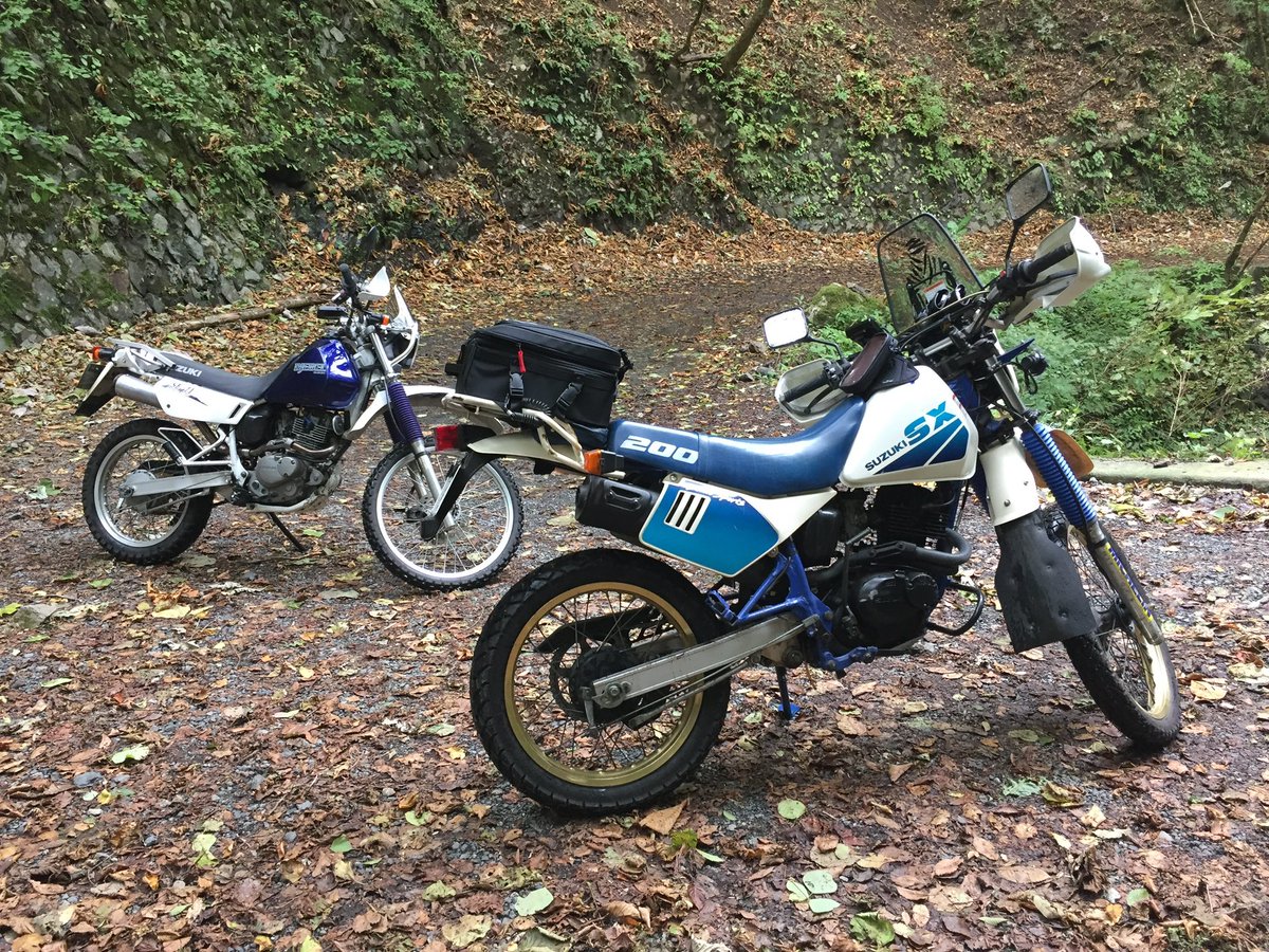 Stray dog (@fkQclQLFt0CiXGm) / Posts / X