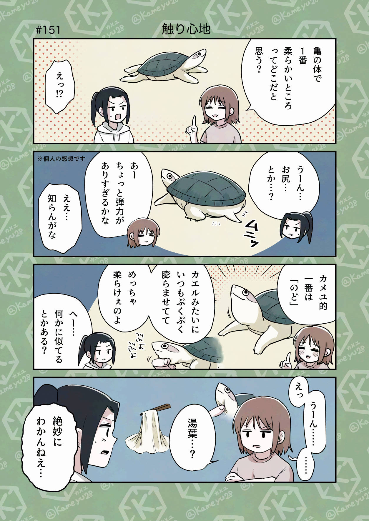 カメちゃん カメちゃん🐢 (@kamechan7407) / X