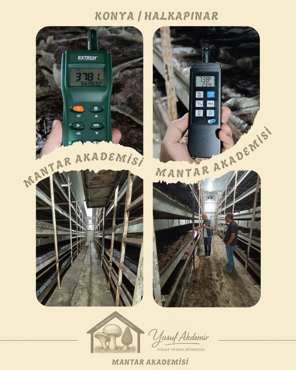 🍄Çalışmalarımız Devam Ediyor.🍄

📍#halkapınar

Kültür Mantarı

MAŞALLAH 👏👏👏

Tüm Üreticilerimize Hayırlı Helal Bol Kazançlar Dilerim.

#mantar #mushroom #tarımşehri #tarım #konya