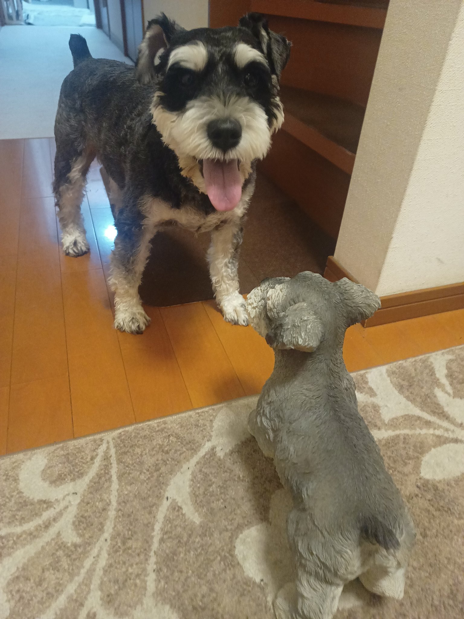 weekends 犬　シュナウザーブローチ　大きめ weekends 犬 シュナウザー ブローチ 大きめ weekends 犬