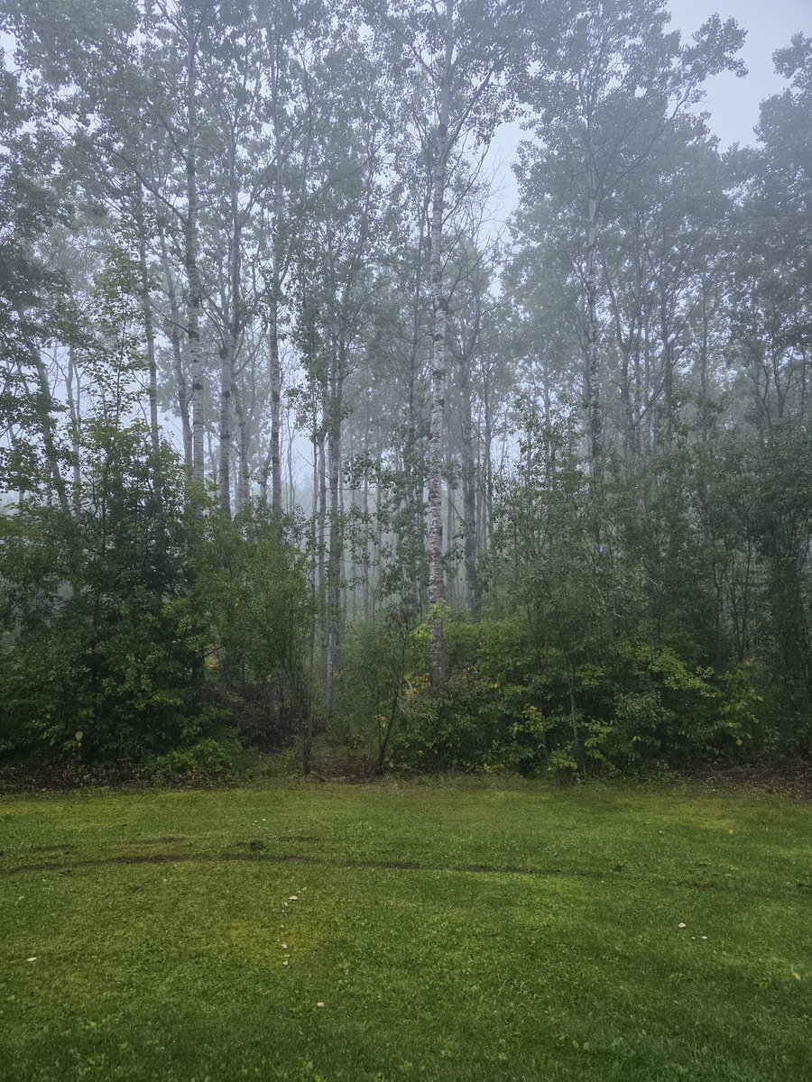 Don't go into the mist. You may find yourself transported to another world and the den of a large white wolf.

(Pic from my on back yard. I love it out here.)