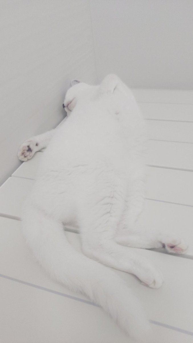 お風呂上がりは久々に…お酒でも飲もうかな🤔
一杯なら酔わないはず笑

ビールも焼酎も飲める。スプリットの入ってるお酒はダメなんだよね。

激弱なのでお外では飲みません！笑