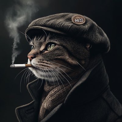 Ken Đu tweet media