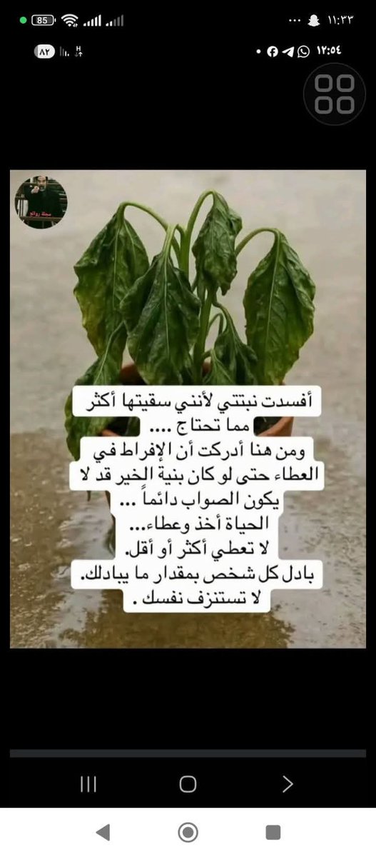 نِسِريَنِ سِعٌدٍ 🌺 (@nesrin6s) on Twitter photo 