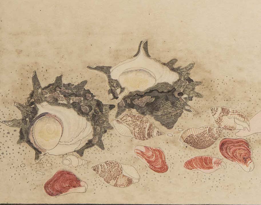 大河べらぼう 第35回。喜多川歌麿は『画本虫撰』以降も緻密な描写の