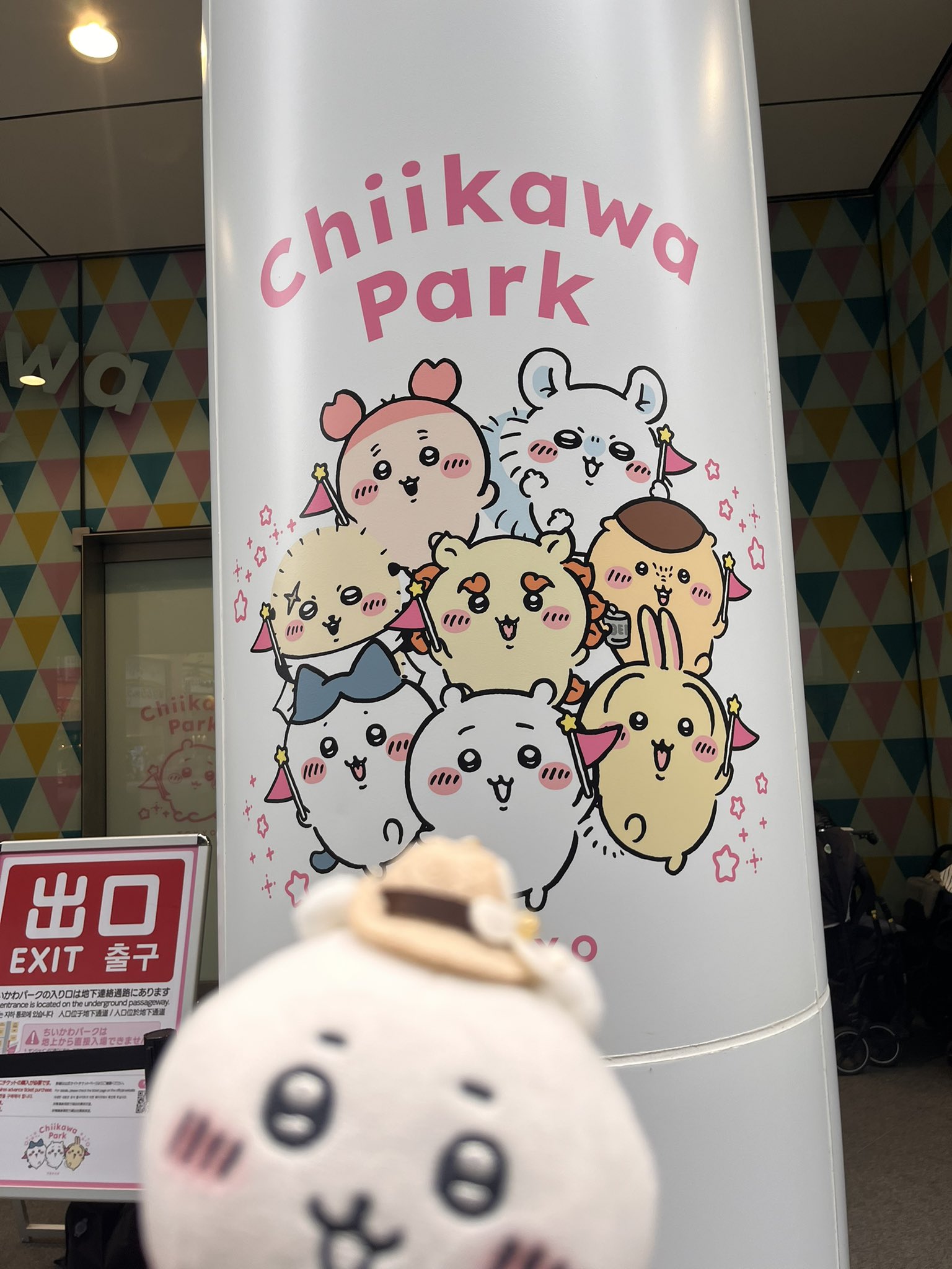 まるぽぽ まるぽぽ (@marupp_k23) • Instagram photos and videos