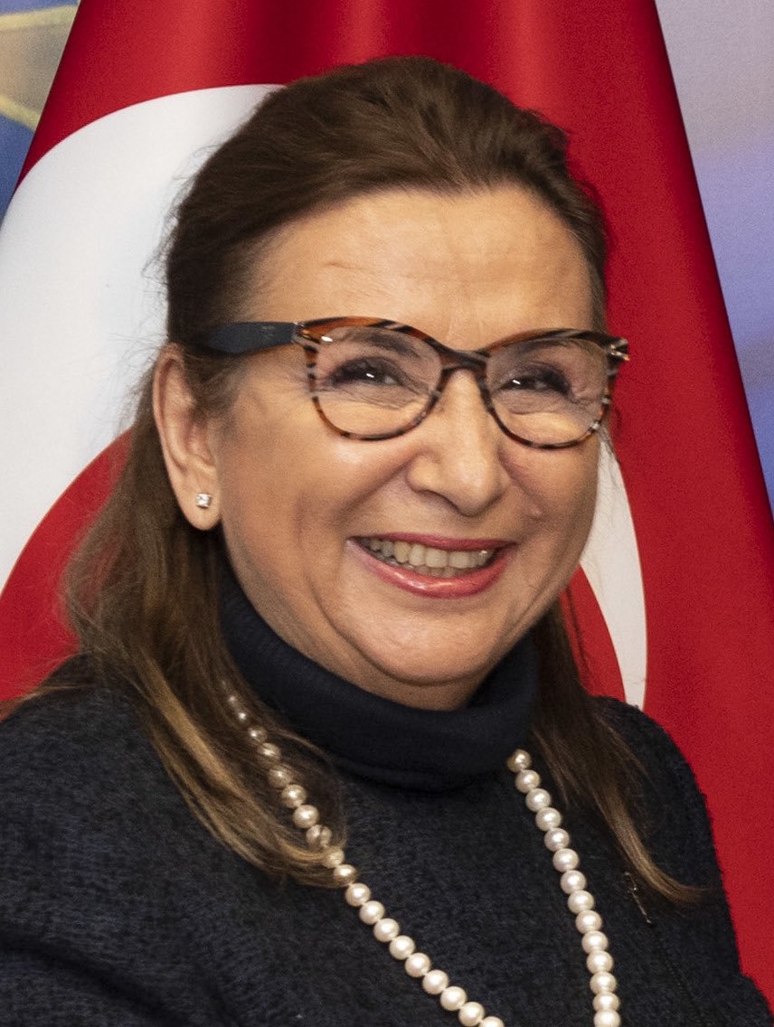 kendi şirketinden aldığı temizlik ürünü ile kendi bakanlığını dolandıran Akepeli bakan hakkında ne işlem yapıldı ?