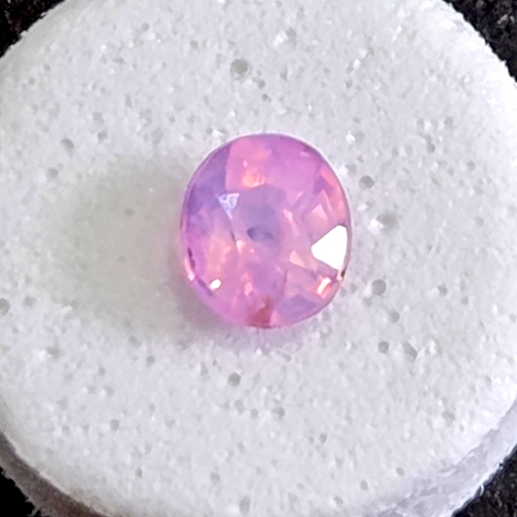 やっと撮れた！プルベアライブのシルキーサファイア🌺🧸
予算内のプチプラ帯からたくさん見せていただいて、厳選した子をお迎えしました👑
決定後何度写真を見返してもやっぱりこの子達を選んでしまう🫶🏻︎
上手く撮れないけど実物もかわいー🥰

<a href="/Plumeria_Gem/">Plumeria ❀ Gem🌺</a> 
<a href="/Beatrice_0716/">Beatrice(ベアトリーチェ)</a>