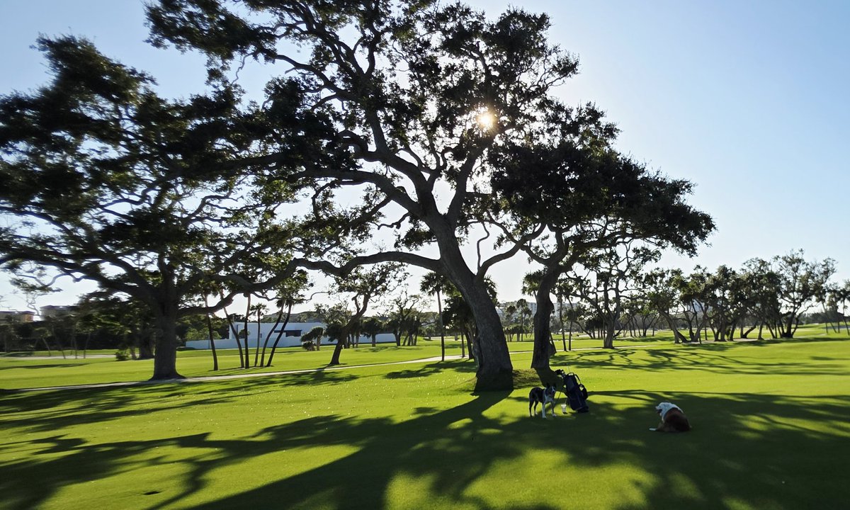 john reilly tweet media