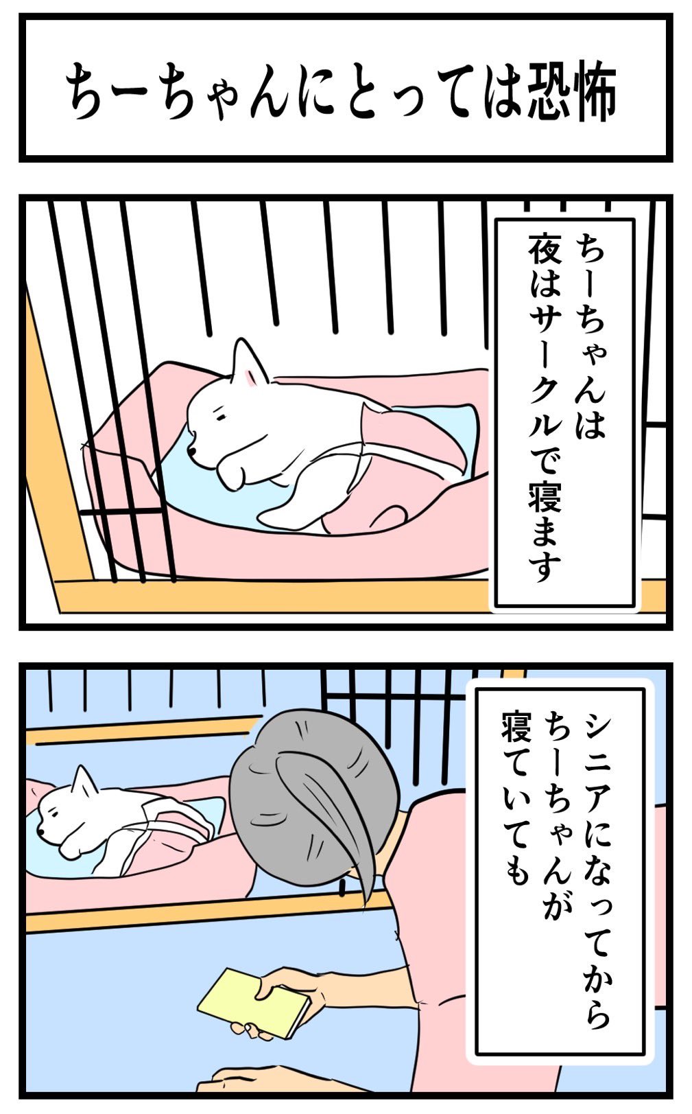 ちーちゃんですけどもっ第2巻発売中です❗️ (@ymc_cheezu) / X