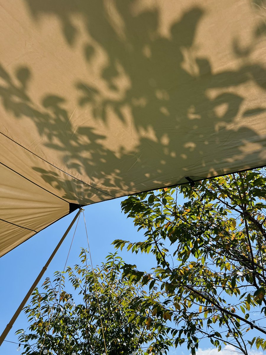 今年秋天的第一露
天氣適時的很好，太陽公公知道什麼時候該出現什麼時候該躲起來
原來換個地方滑手機也能這麼chill～～