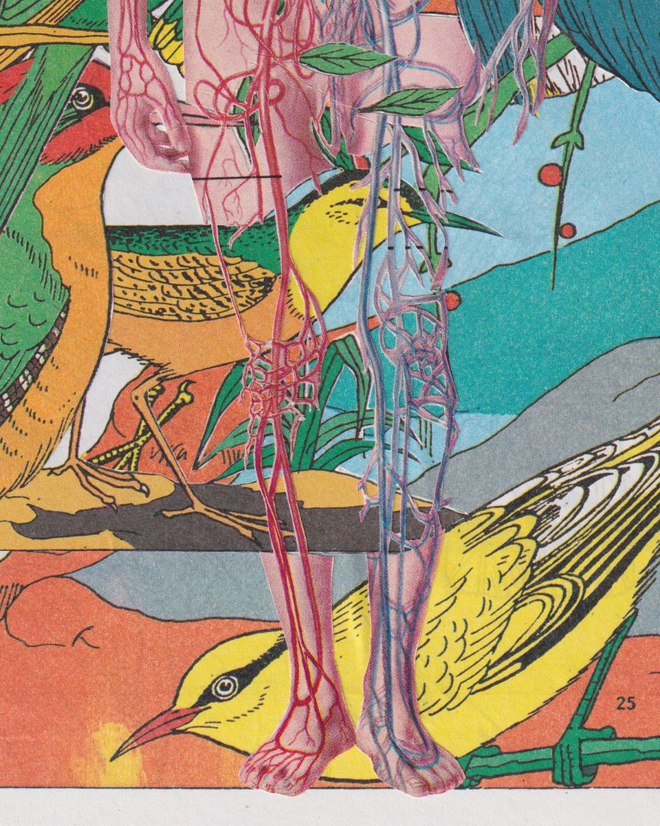 tuhanzilla's tweet photo. "Birdman" and "Birdman lagi"
11 oktober 2024 & 16 oktober 2024.
#collageart #collageartist #kolase #analogcollage #cutandpaste #collage #jurnalkolasefrnss https://t.co/itVI0XBOMh