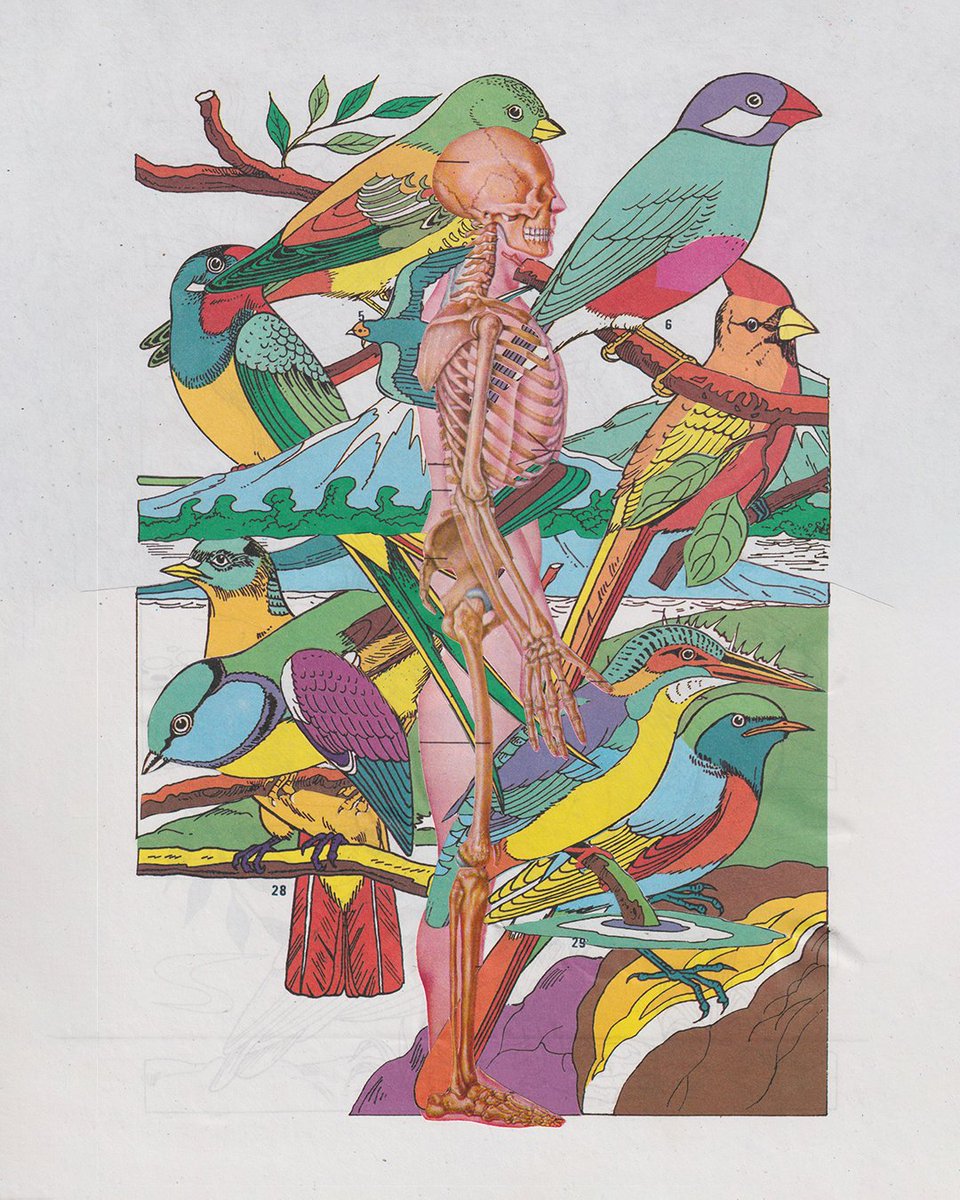 tuhanzilla's tweet photo. "Birdman" and "Birdman lagi"
11 oktober 2024 & 16 oktober 2024.
#collageart #collageartist #kolase #analogcollage #cutandpaste #collage #jurnalkolasefrnss https://t.co/itVI0XBOMh