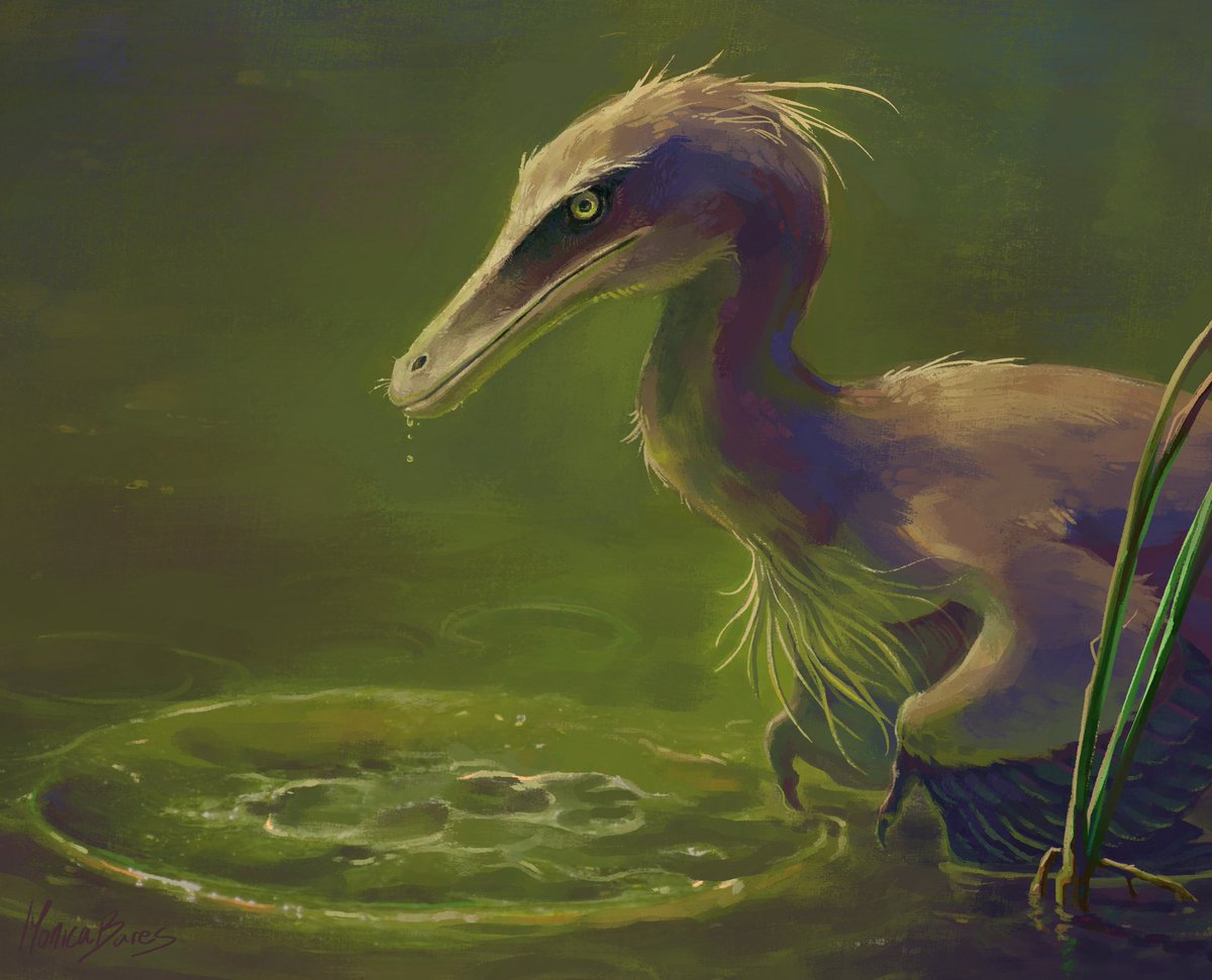 ᴍᴏɴɪᴄᴀ 𓅓 tweet media