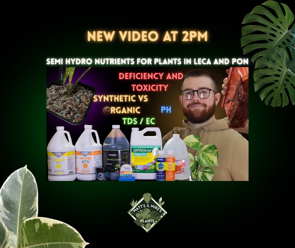 Tune in to YouTube at 2PM!