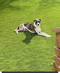 NejiNaga's tweet photo. #openseatouchgrass https://t.co/yEN5giQ6GA