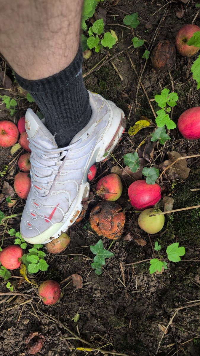 #sneakerstomp #messysneaks #foodstomp