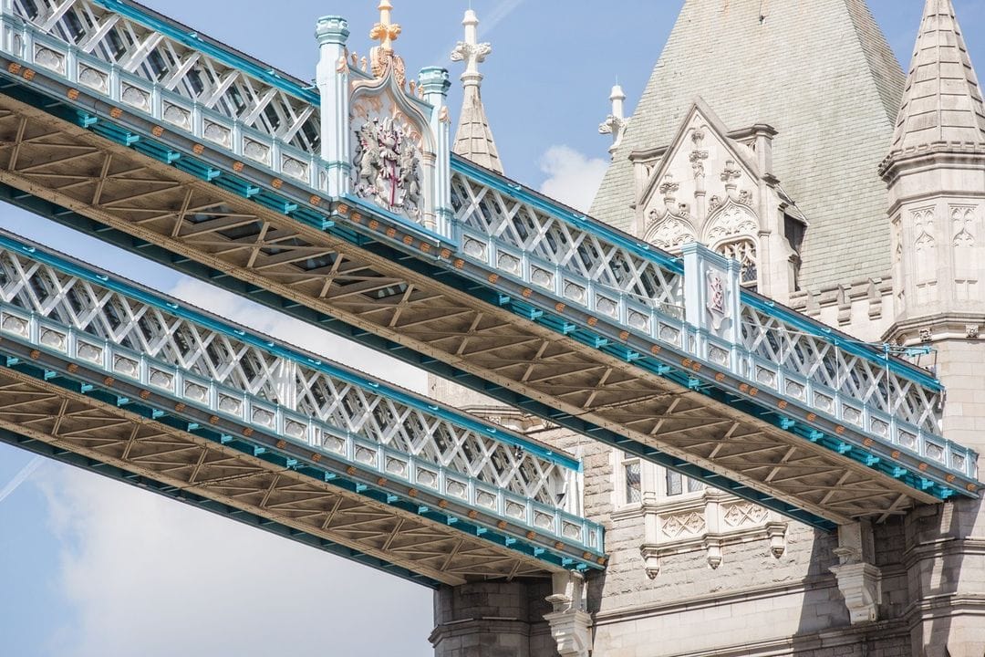 MayaWillia62662's tweet image. United Kingdom ˜˜