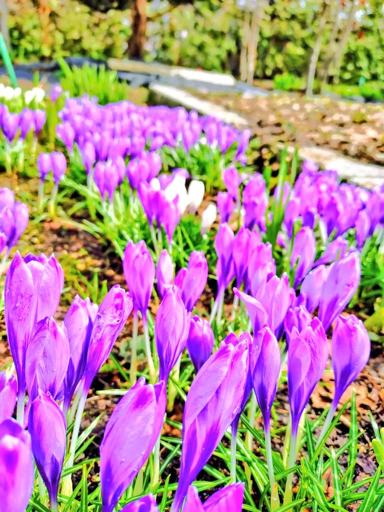 みなさん、どんな日曜日の夜をお過ごしですか😊🌟？
　
明日、明後日と浮上が難しくなりますが
体調に気を付けて
笑顔の1週間の幕開けとなりますように😊🍁🌻✨️

そろそろ #月見 かな…🌕️✨️💕
お月様繋がりで😊(笑)

見てくださいね❤️

　　⬇️

#三日月 🌛✨️

youtu.be/BavYYF3pn3A?si…