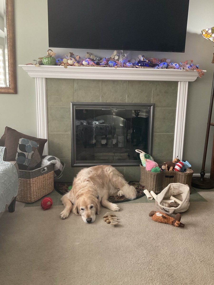 This is a Huckleberry Sunday morning🙏🐾❤️