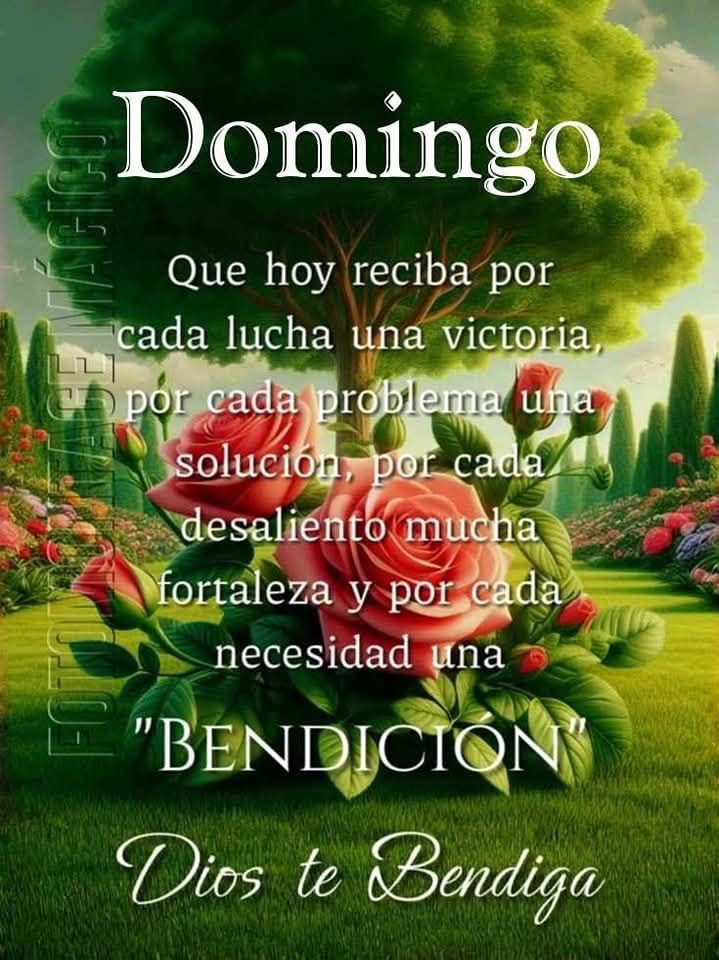 augusto boggiano tweet media