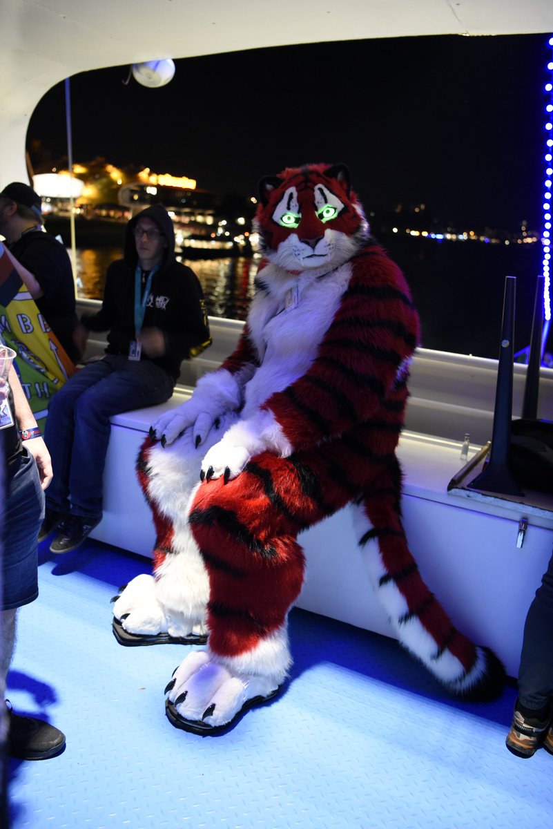 Kiba_Wolfy ▶️ @EF29 tweet media