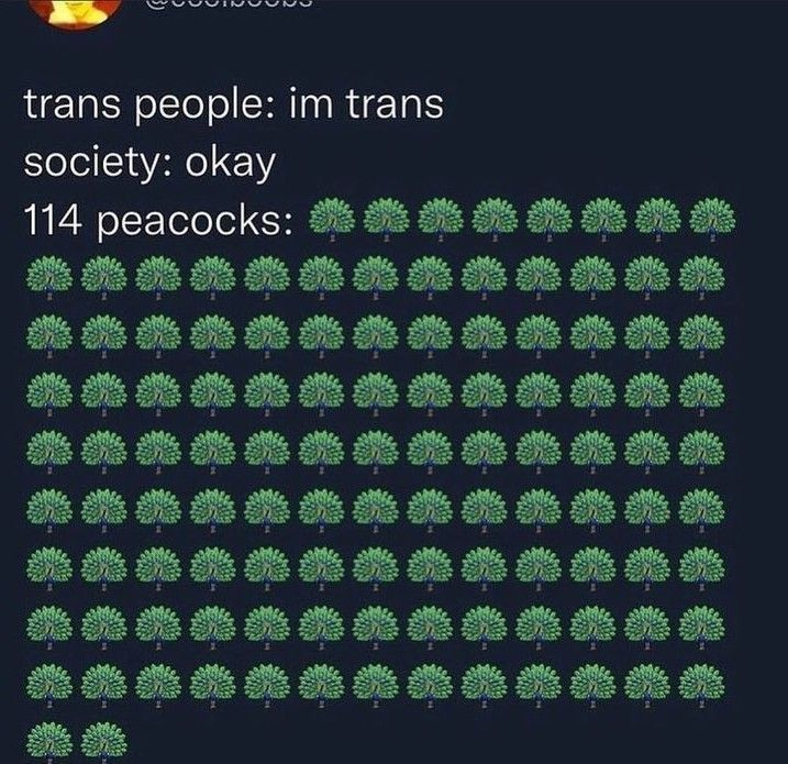 Internet Slop (@gimmickslop) on Twitter photo 