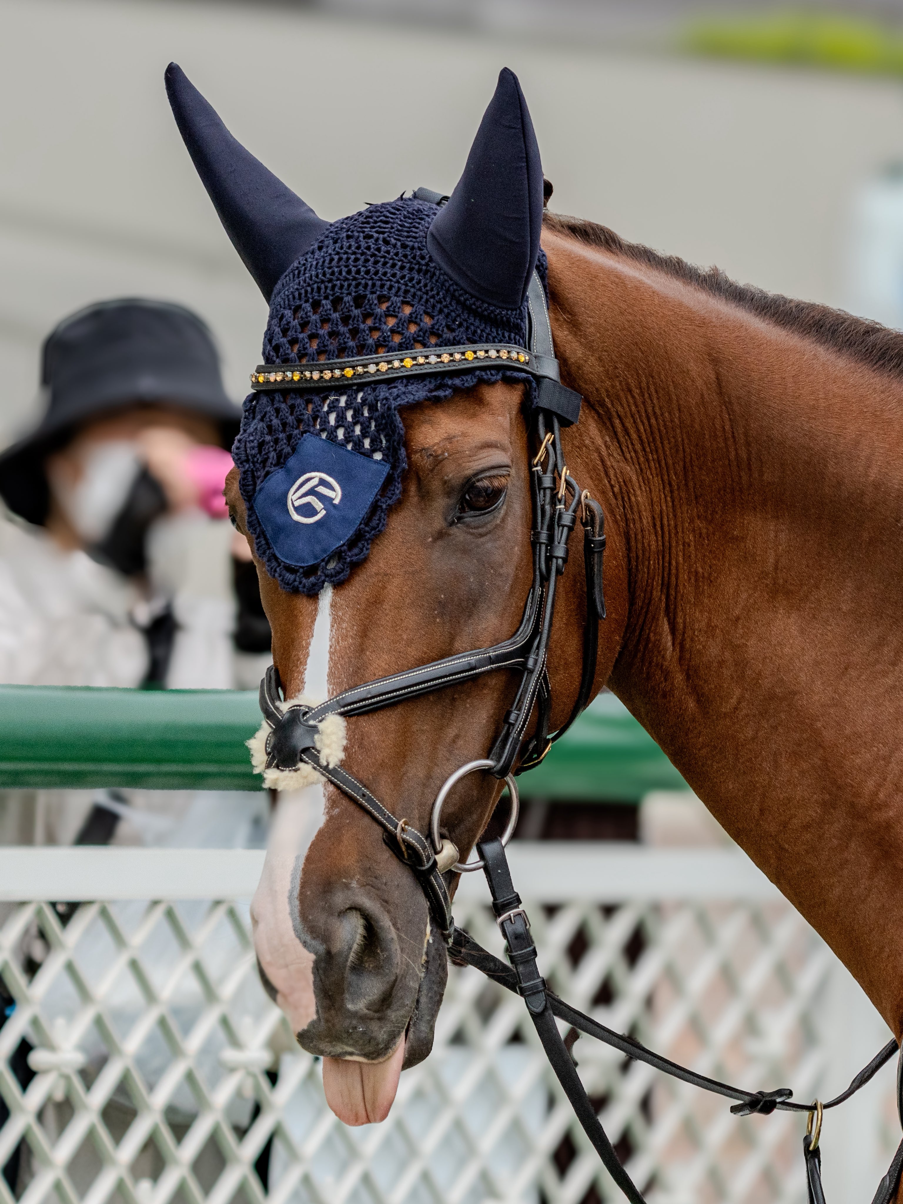 日本画(41)　番外編　カンナ 日本画(41) 番外編 カンナ - メルカリ