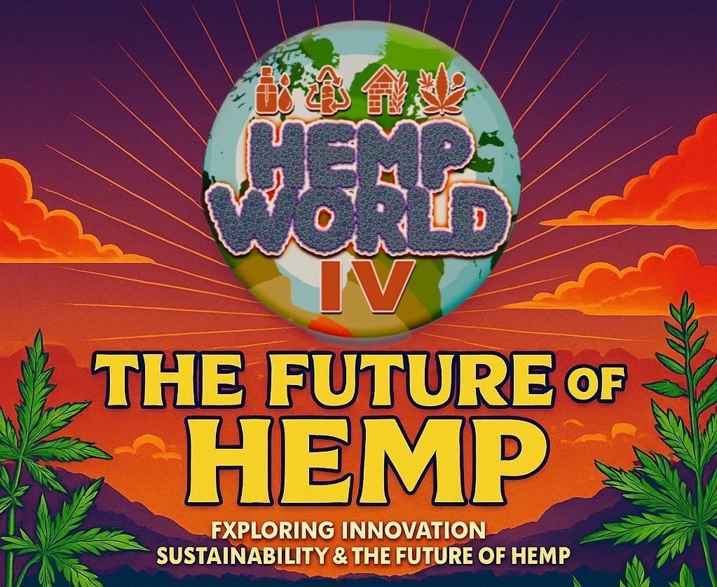 Pink Planes tweet media