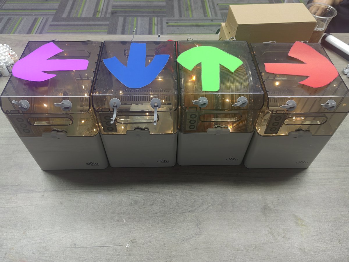 Yvette Yu tweet media