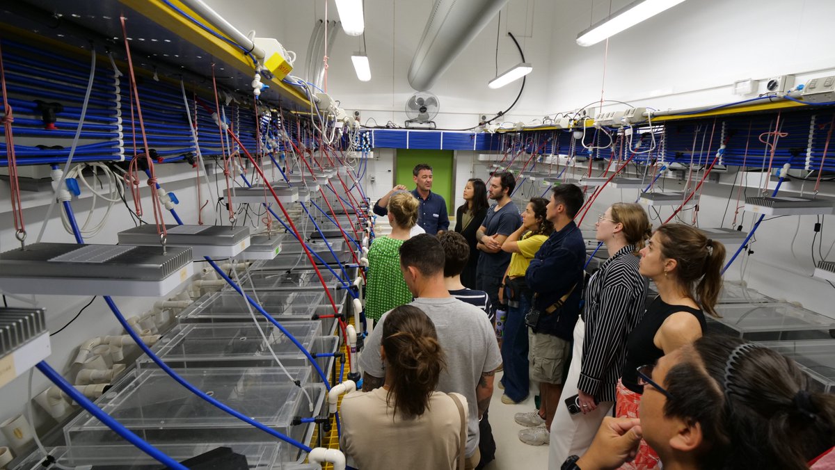 It was a privilege to be involved in the Australian Coral Reef Society conference this year!

💡Our Director presented on the SeaSim Access Program
 🔬We hosted a tour of SeaSim and visitors connected with our Tech Dev team.

It was inspiring to engage with the science community.