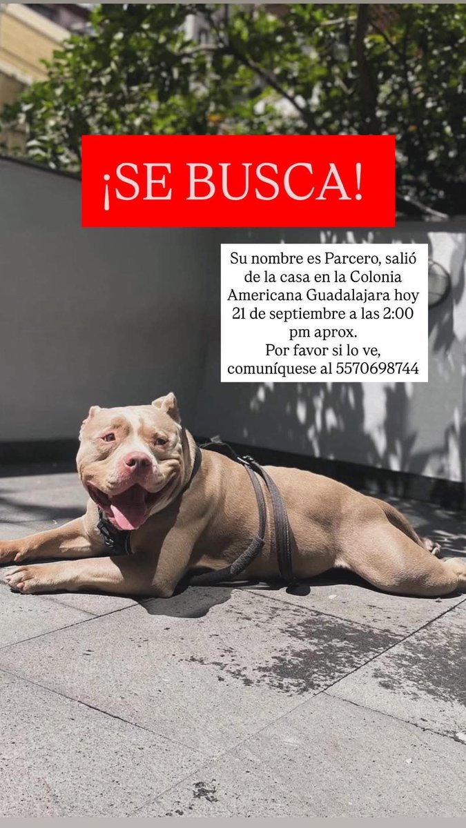 #EXTRAVIADO #RT 🙏🏼