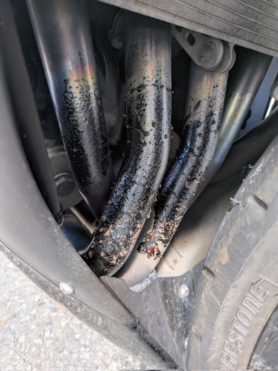 cubaka_zngr's tweet image. 最悪
1号線気持ちよく走ってたらビニール飛んできたわ
べっとり