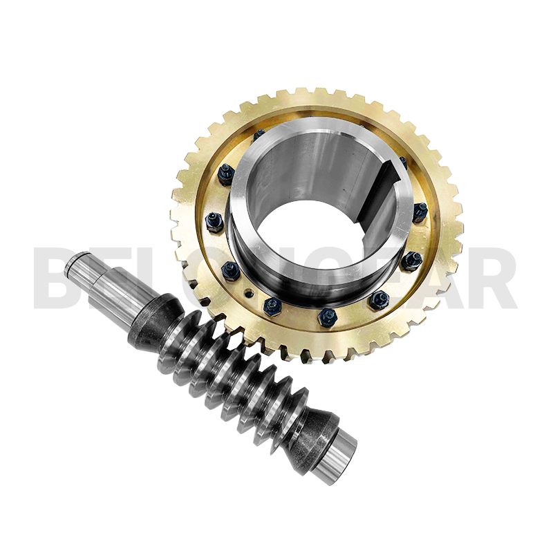 Belongear tweet media