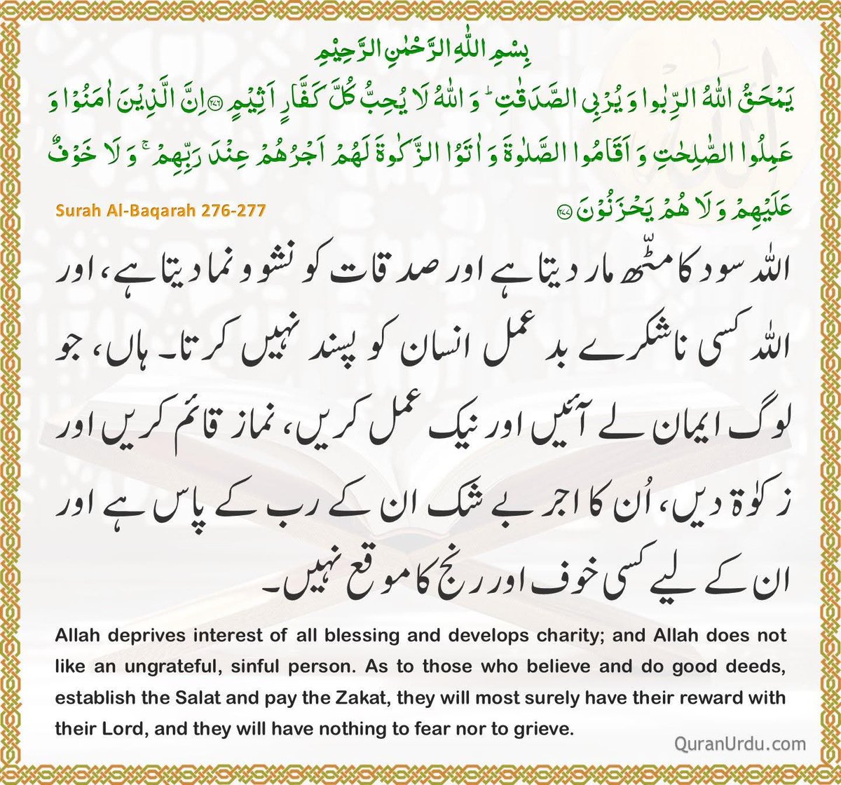 Aon Muhammad tweet media