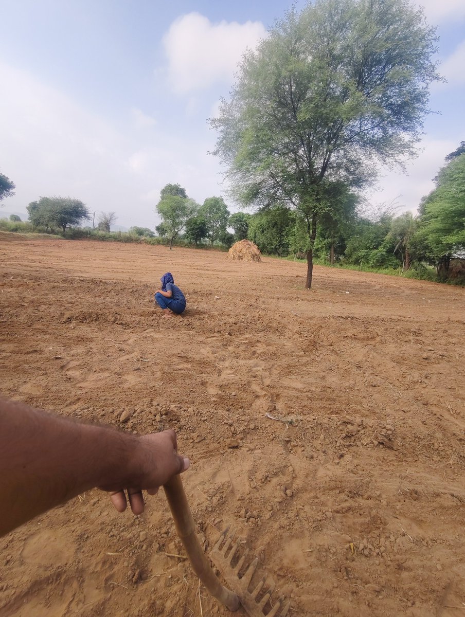 pintubnasya1's tweet image. Mini सब्जी बाड़ी लगा दी है 
#vegitables