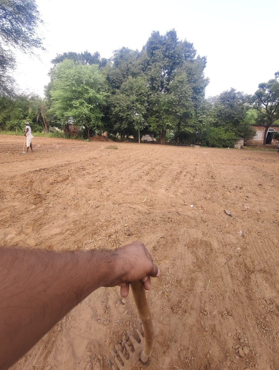 pintubnasya1's tweet image. Mini सब्जी बाड़ी लगा दी है 
#vegitables