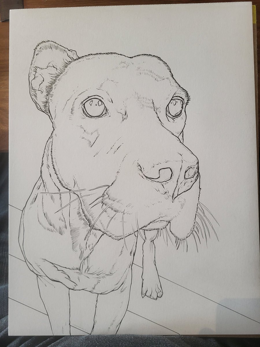 Onyx- ink with graphite, commission 
#art #dog #dogart #illustration #drawing #artistonx #jasoncaseyart